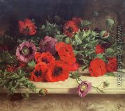 Poppies - William Muckley
