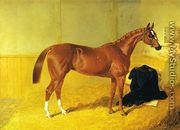 Our Nell, A Bay Racehorse in a Stable - John Frederick Herring Snr