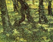 Trunks of Trees with Ivy - Vincent Van Gogh