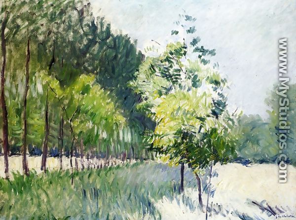 Lane Bordered by Trees - Gustave Caillebotte