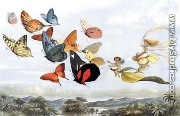 Butterfly Chariot - Richard Doyle