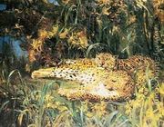 Indian Leopards - John Macallan Swan
