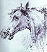 Head of a Horse I - Aleksander Orlowski