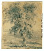 Landscape with Tree - Louis Buvelot