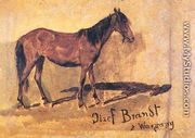 Study of a Horse - Josef von Brandt