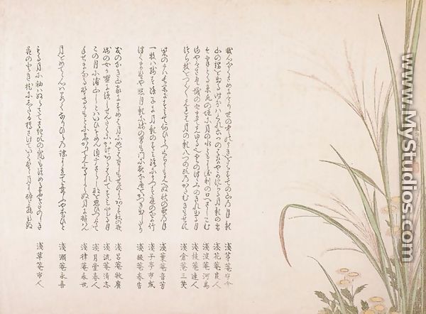 Asters and Susuki Grass - Katsushika Hokusai
