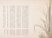 Asters and Susuki Grass - Katsushika Hokusai