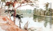 Cypress, Florida, September 1840 - Seth Eastman