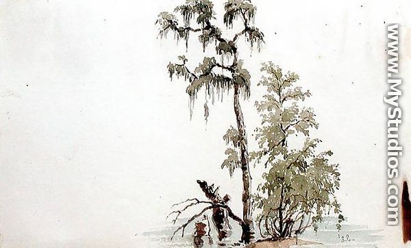 Florida River Scene, 1840 - Seth Eastman