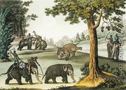 Capturing Elephants in Burma, plate 76 from Le Costume Ancien et Moderne by Jules Ferrario, published c.1820s-30s - Gaetano Zancon