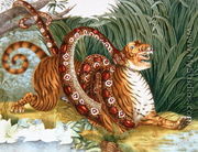 The Tiger and the Boa Constrictor, 1835 - Aloys Zotl