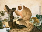 The Saki Monkey, 1835 - Aloys Zotl