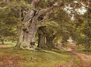 The Oak's Massive Trunk, Aldermaston Park, Berkshire, 1912 - Edward Wilkins Waite