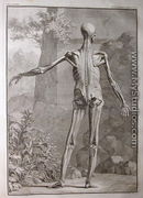 Albinus I, Tab. VII: Musculature, illustration from 'Tabulae sceleti et musculorum corporis humani', by Bernhard Siegfried Albinus (1697-1770), published by J.&H. Verbeek, bibliop., Leiden, 1741 - Jan Wandelaar