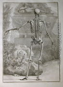 Albinus I, Tab. II: Skeleton, illustration from 'Tabulae sceleti et musculorum corporis humani', by Bernhard Siegfried Albinus (1697-1770), published by J.&H. Verbeek, bibliop., Leiden, 1740 - Jan Wandelaar
