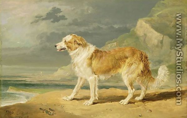 Rough-coated Collie, 1809 - James Ward