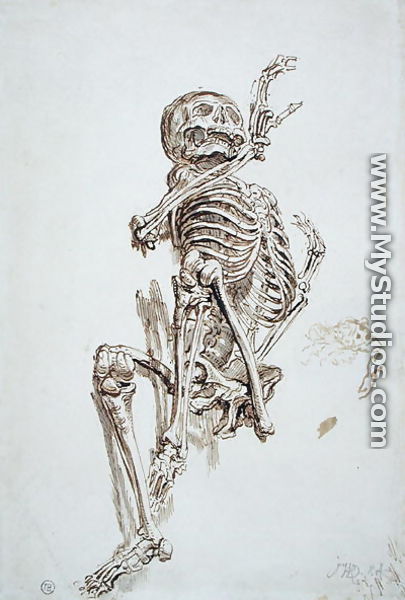 A Human Skeleton - James Ward