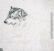 Arctic dog, facing left - James Ward