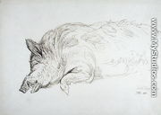 A Wild Boar, Asleep or Dead, 1814 - James Ward