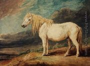 Shetland Pony - James Ward