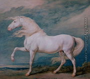 Adonis, a white stallion - James Ward