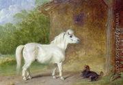 A Shetland pony and a King Charles spaniel - Martin Theodore Ward