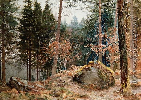 In a Welsh wood, winter - James Thomas Watts