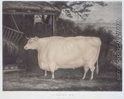 A Prize Ox, engraved by John Thompson, Smeaton, Yorks, 1831 - Thomas Weaver
