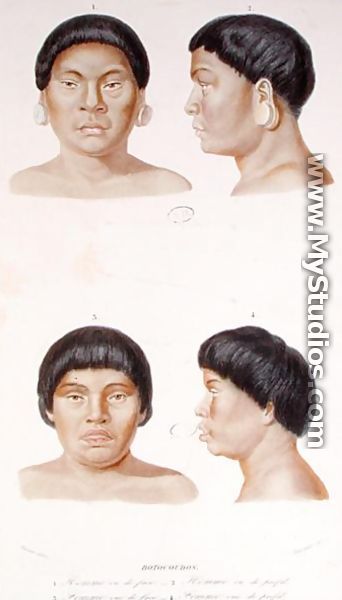 Anthropometric study of two Botocudos indians, engraved by Fournier, mid 19th century - Werner