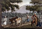 Agriculture in Syria, engraved by Joseph Constantine Stadler (fl.1780-1812) pub. by J. White, 1801 - (after) Willyams, Cooper