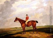 Racehorse with Jockey Up - Dean Wolstenholme, Jr