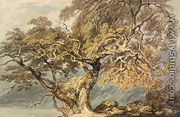 A Great Tree, c.1796 - Joseph Mallord William Turner