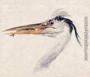 Heron with a fish - Joseph Mallord William Turner