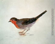 Robin, from The Farnley Book of Birds, c.1816 - Joseph Mallord William Turner