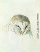 White Barn Owl, from The Farnley Book of Birds, c.1816 - Joseph Mallord William Turner