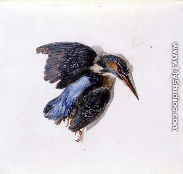 Kingfisher, from The Farnley Book of Birds, c.1816 - Joseph Mallord William Turner