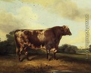Brown and White Bull in Landscape - John Vine