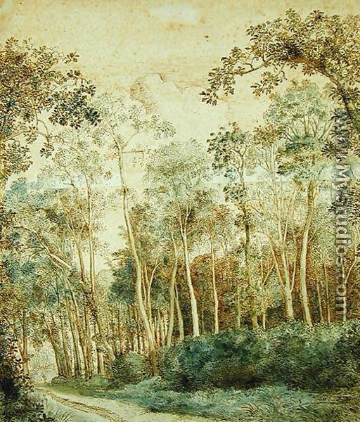 Wooded Landscape - Cornelis Hendricksz. The Younger Vroom