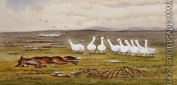 A Game of Fox and Geese - James W. Usher