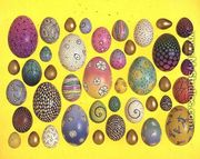 Painted eggs - Cathy Usiskin