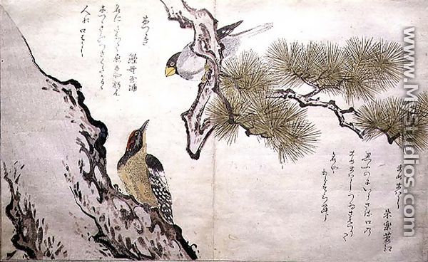 Hawfinch and a Woodpecker, from an album Birds compared in Humorous Songs, 1791 - Kitagawa Utamaro