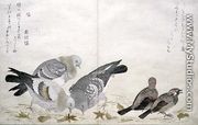 Three Pigeons and two Finches, from an album 'Birds compared in Humorous Songs', 1791 - Kitagawa Utamaro