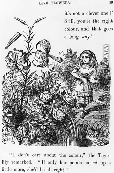 Tiger Lily, from Through the Looking Glass by Lewis Carroll 1832-98 - John Tenniel