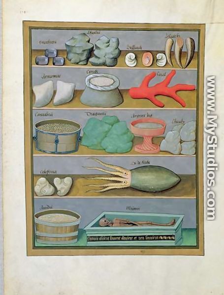 Illustration from the Book of Simple Medicines by Mattheaus Platearius d.c.1161 c.1470 15 - Robinet Testard