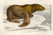 The Sea Lion, engraved by Paquien - Edouard Travies