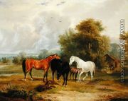 Horses Grazing- Mares and Foals in a Field - Francis Calcraft Turner