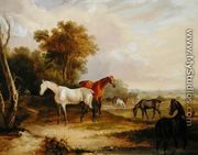 Horses Grazing- A Grey Stallion grazing with Mares in a Meadow - Francis Calcraft Turner