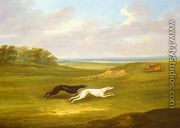 Running, a Coursing Scene, 1816 - John Nost Sartorius