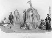 The Giraffes with the Arabs who brought them over to this country, Zoological Gardens, Regents Park, 1836 - George the Elder Scharf