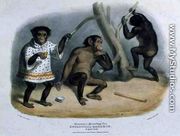 Chimpanzee or African Orang-Utan at the Zoological Gardens, Regents Park, engraved and pub. by the artist, printed by Charles Hullmandel 1789-1850, 1835 - George the Elder Scharf